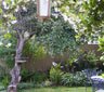 B&B on Buckingham, Craighall Park